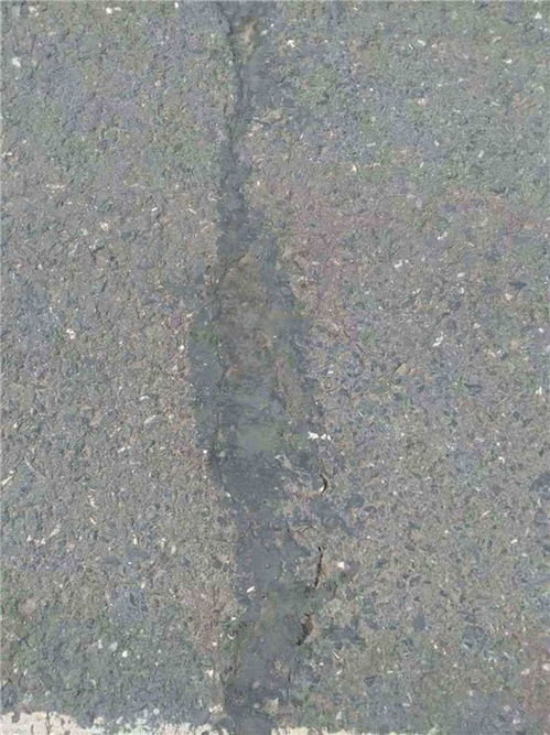 山西貼縫帶 路面貼縫帶多少錢 南京仁恒路橋 推薦商家