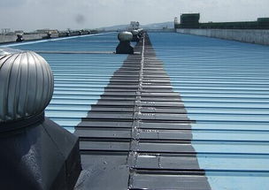 南京房屋漏水維修翻新全攻略 精準查漏與長效防水工程解析